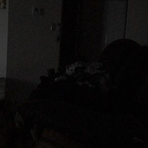 Meet your Posher, Joseph